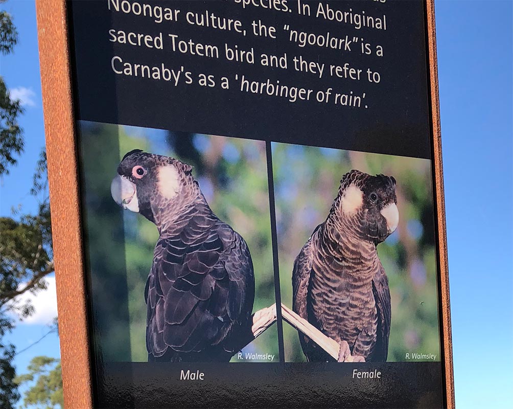 Wayfinding and interpretive signage for the river walk at New Norcia in Western Australia. Designed by Axiom Design Partners